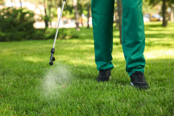 Best Cockroach Control Services  in Lansing, KS