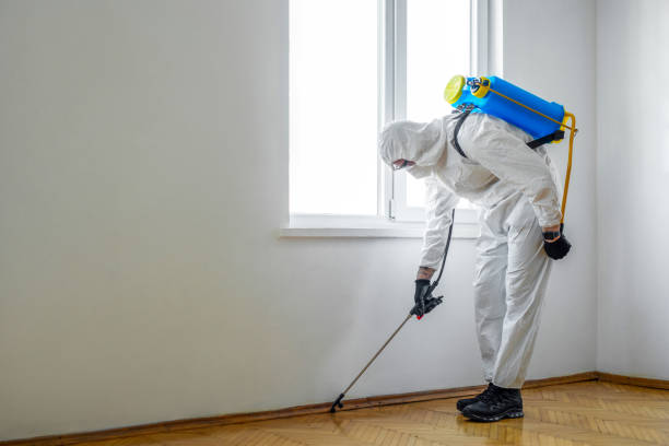 Best Local Pest Control Services  in Lansing, KS