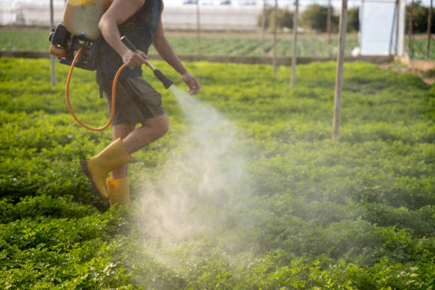 Best Best Pest Control Companies  in Lansing, KS