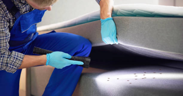 Best Best Pest Control Companies  in Lansing, KS