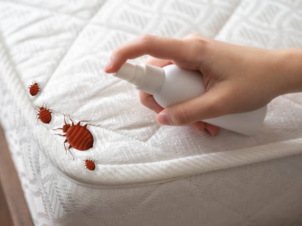 Best Affordable Exterminators  in Lansing, KS