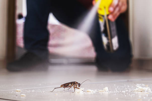 Best Rodent Control Near Me  in Lansing, KS