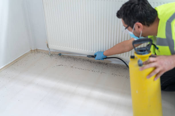 Reliable Lansing, KS Pest Control Solutions