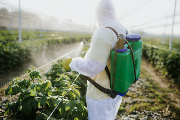 Best Pest Inspection Near Me  in Lansing, KS